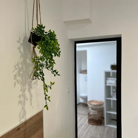 Appartement Maison Boheme *